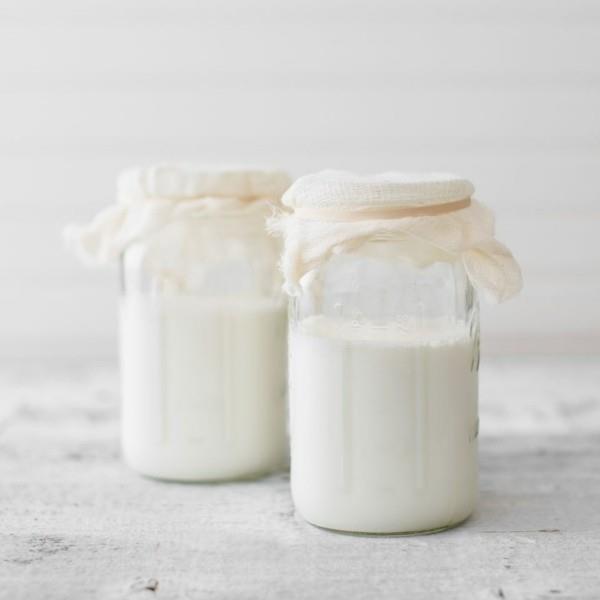 Κεφίρ υγιεινό ρόφημα γάλακτος Φτιάξτε μόνοι σας κεφίρ γάλακτος με κόκκους κεφίρ