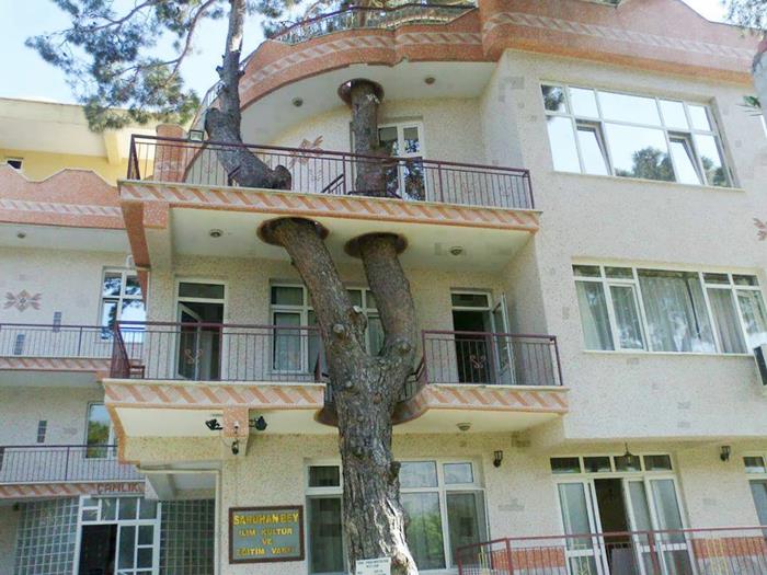 Κλασική μοντέρνα αρχιτεκτονική γύρω από ένα δέντρο