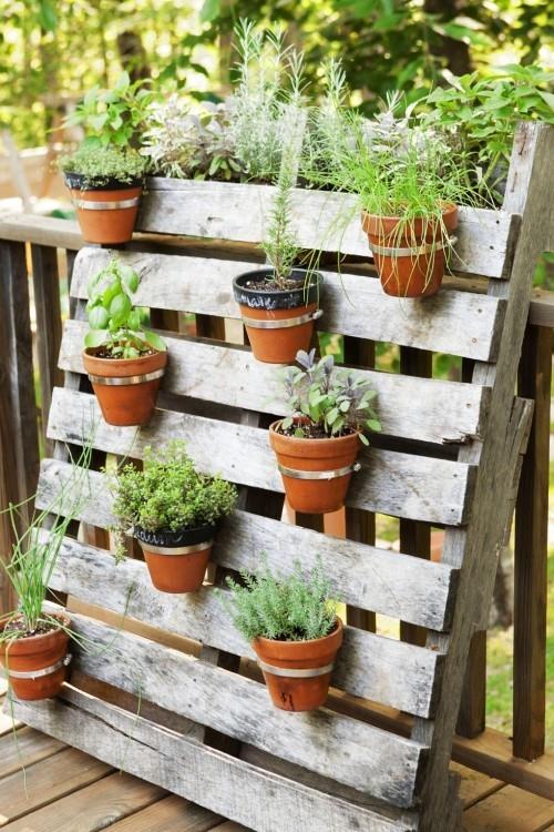 Δημιουργήστε έναν μικρό κήπο.Δημιουργήστε έναν κάθετο κήπο από μια παλέτα μόνοι σας