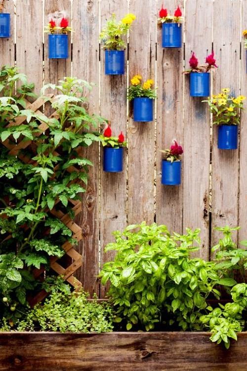 Ο μικρός κήπος φαίνεται μεγαλύτερος. Ξύλινα φράχτη παλιά δοχεία βαμμένα σε μπλε χρώμα με λουλούδια διαμορφώνουν κάθετα πολύ πράσινο
