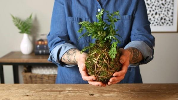 Το Kokedama καθιστά τις ιδέες χειροτεχνίας για φυτά εσωτερικού χώρου εύκολες στη φροντίδα