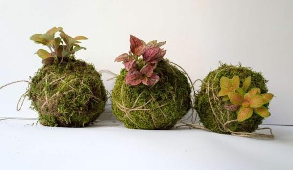 Το ίδιο το Kokedama κάνει ιαπωνικές μπάλες βρύα ζωντανές διακοσμήσεις