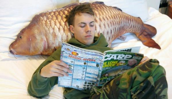 Δημιουργικά μαξιλάρια ρίχνουν μαξιλάρι ψαριών περιοδικών