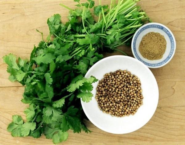 Βότανα για Detox Coriander όλα τα μέρη του φυτού μπορούν να καταναλωθούν