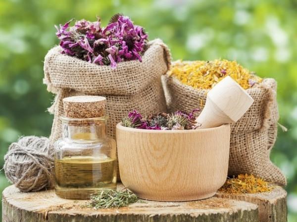 Βότανα για Detox Milk Thistle Medicine από τη φύση