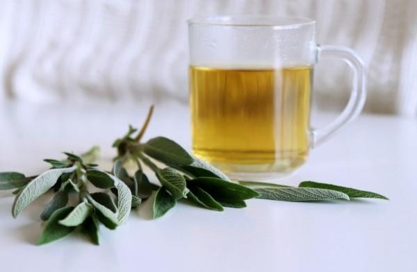 Πίνετε βότανα για το βήχα τσάι φασκόμηλου για πονόλαιμο και βήχα
