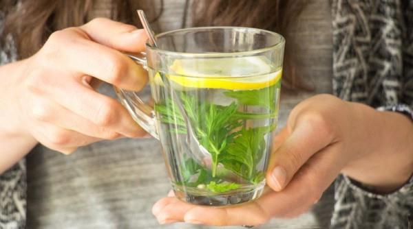 Φυτικό ζεστό τσάι από φύλλα mugwort απολαμβάνουν υγιή ύπνο