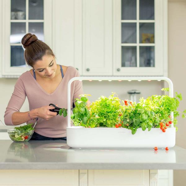 Καλλιέργεια βοτάνων στο σπίτι Πασπαλίστε σαλάτα φρέσκων λαχανικών με βότανα κουζίνας