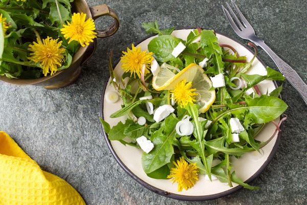 Μαγειρική εφαρμογή πικραλίδα ανοιξιάτικη σαλάτα πράσινη πικραλίδα αφήνει κίτρινα λουλούδια κρεμμύδι μικρά κομμάτια τυριού