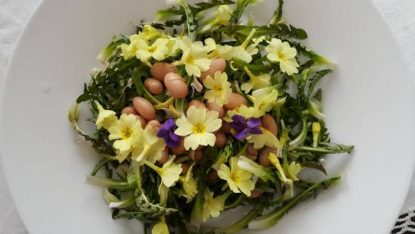 Εφαρμογή μαγειρικής πικραλίδα ανοιξιάτικη σαλάτα σε πράσινο Πάσχα αφήνει αυγά βρώσιμα λουλούδια