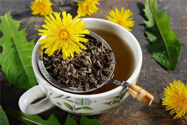 Εφαρμογή μαγειρικής πικραλίδα Προετοιμάστε τσάι πικραλίδα από τις ρίζες του φαρμακευτικού βοτάνου, χρησιμοποιήστε εσωτερικά και εξωτερικά