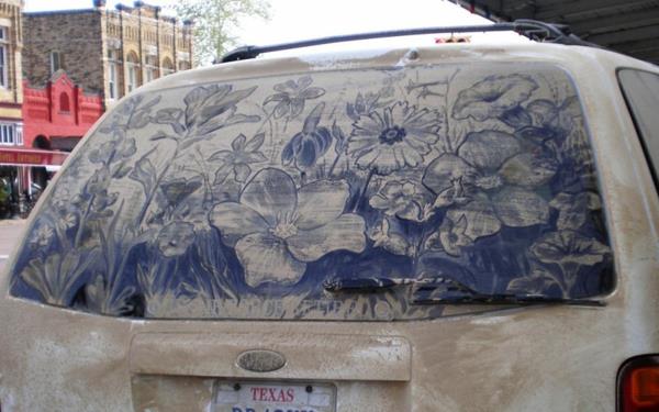 Τέχνη από σκόνη βρώμικα παράθυρα αυτοκινήτων λουλούδια