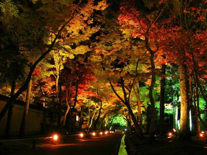 LED φωτισμός καλοκαιρινών δέντρων