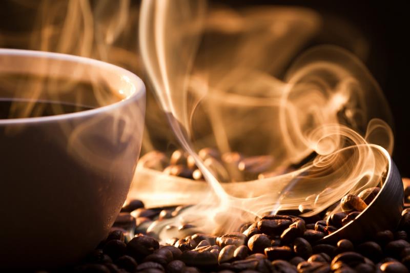 Τροφές που καίνε τον λιπαρό καφέ υγιεινό τρόπο ζωής