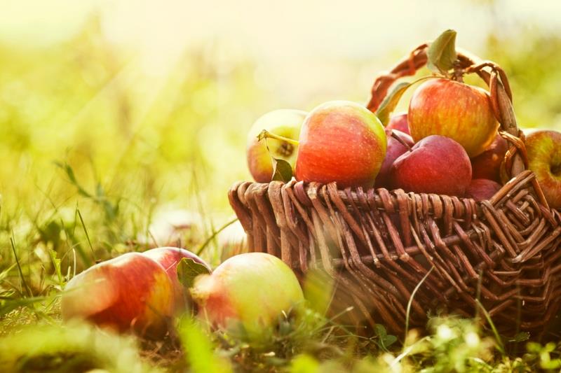 Τροφές που καίνε λίπος μήλα υγιεινά τρώγοντας φρούτα και λαχανικά