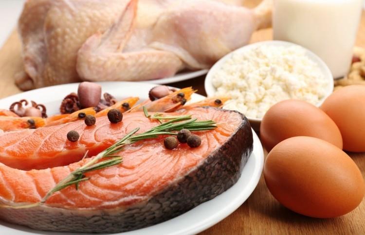 Τροφές πλούσιες σε πρωτεΐνη αυγά πρωτεΐνη διατροφή ψαριών