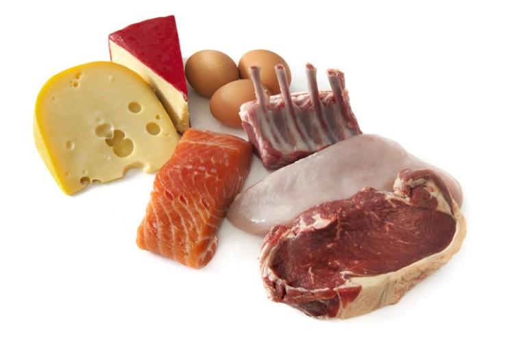 Τροφές με υψηλή περιεκτικότητα σε πρωτεΐνη αυγά γαλακτοκομικά προϊόντα