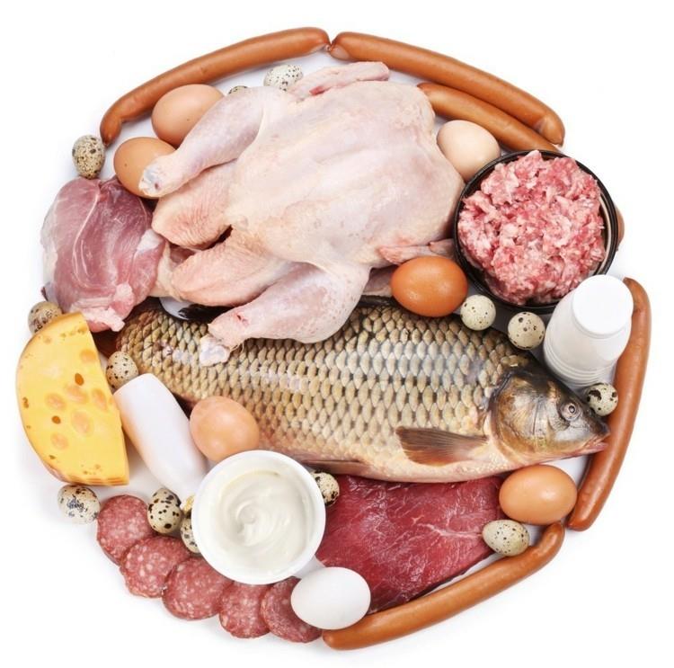 Τροφές με υψηλή περιεκτικότητα σε πρωτεΐνη κρέας και γαλακτοκομικά προϊόντα
