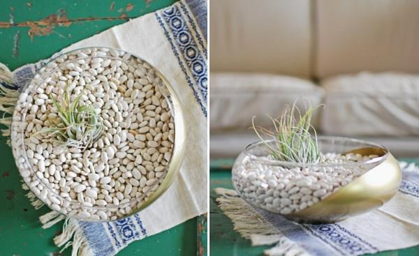 Αεροπορικά φυτά terrarium diy project lauren donaldson