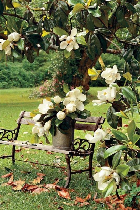 Το πράσινο Magnolia αφήνει λευκά λουλούδια τέχνη της φύσης