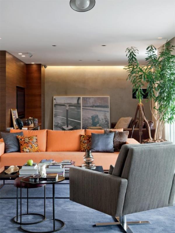 Αρρενωπό και κομψό μοντέρνο σαλόνι, φωτεινό και φιλόξενο καναπέ σε χρώμα ροδάκινου