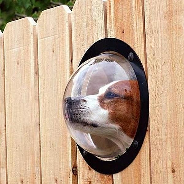 Μοντέρνα αξεσουάρ για τα κατοικίδια ζώα σας φράχτη κήπου με παράθυρο