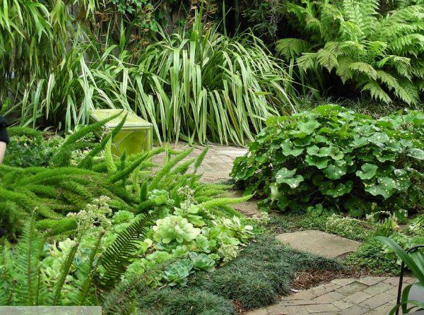 Μονόχρωμος μινιμαλισμός - δημιουργήστε έναν φυσικό κήπο
