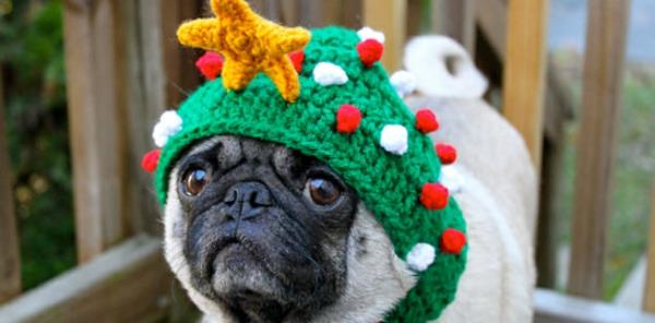 Καπέλα σκυλιά ρούχα κατοικίδιων εορταστικών ελάτων