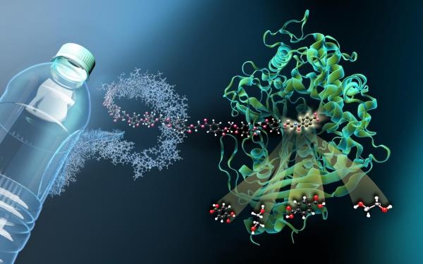 Το μεταλλαγμένο βακτηριακό ένζυμο διασπά τα πλαστικά μπουκάλια σε ώρες. Τα βακτήρια τρώνε πλαστικά απόβλητα κατοικίδιων ζώων