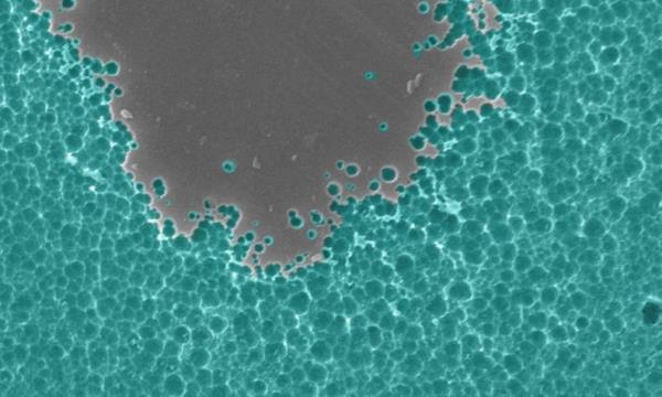 Μεταλλαγμένο βακτηριακό ένζυμο διασπά πλαστικά μπουκάλια σε ώρες πειράματος Γάλλοι επιστήμονες