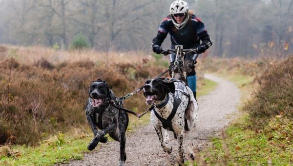 Φυσικά ηρεμιστικά από το φυσικό φαρμακείο και άλλες συμβουλές κατά του στρες που κάνουν ποδήλατο με σκύλους