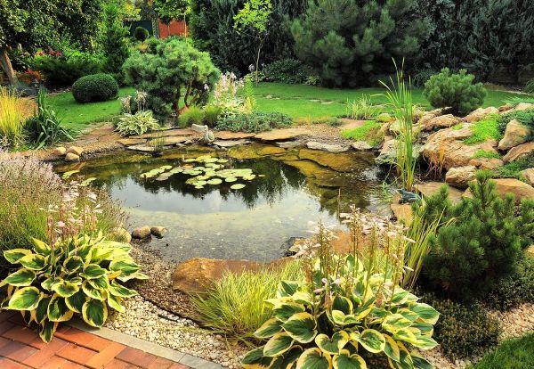 Δημιουργήστε έναν φυσικό κήπο - λίμνη με όμορφα φυτά