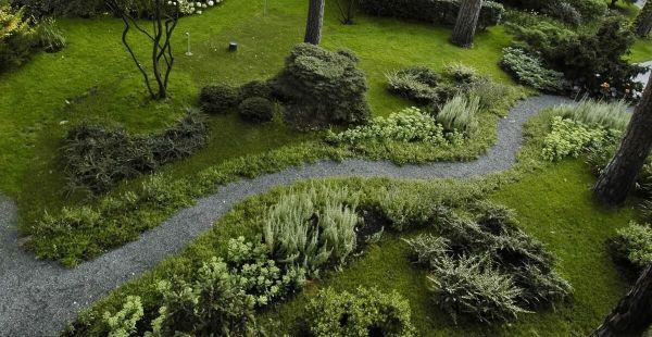Δημιουργήστε έναν φυσικό κήπο - ένα όμορφο λιβάδι - ιδέες κήπου
