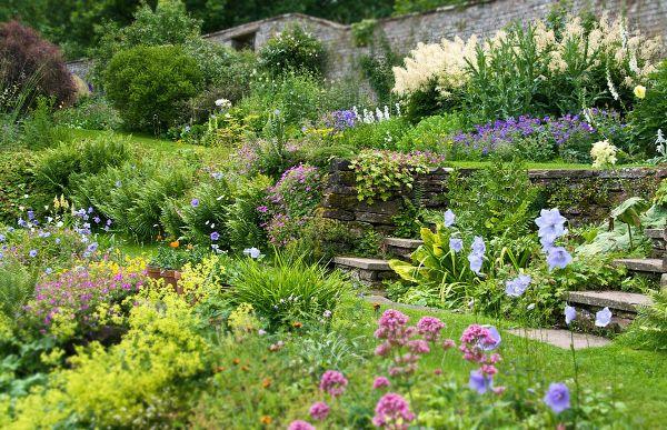Δημιουργήστε έναν φυσικό κήπο - υπέροχα λουλούδια λιβαδιών