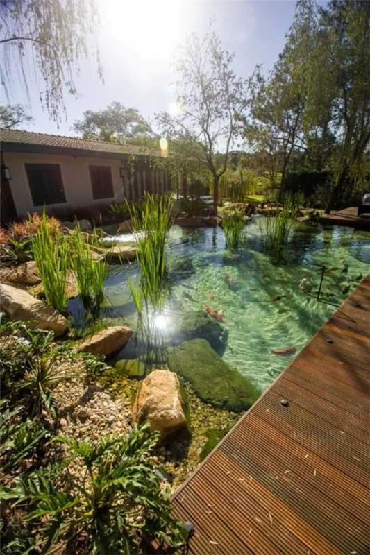 Δημιουργήστε φυσικό κήπο με φυσική πισίνα