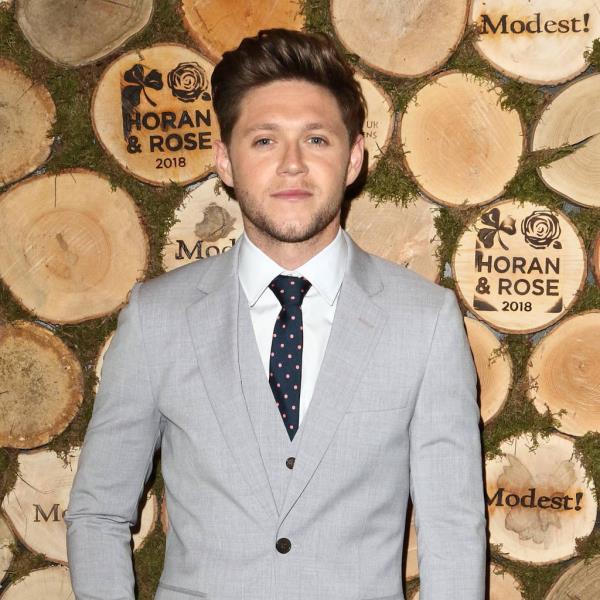 Ο Niall Horan μια υπέροχη πορτραίτη
