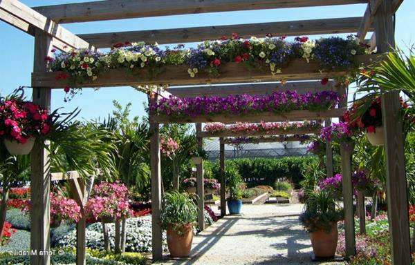 Πέργκολα που χτίζει μοντέρνο χώρο καθισμάτων κληματαριά φυτά λουλούδια