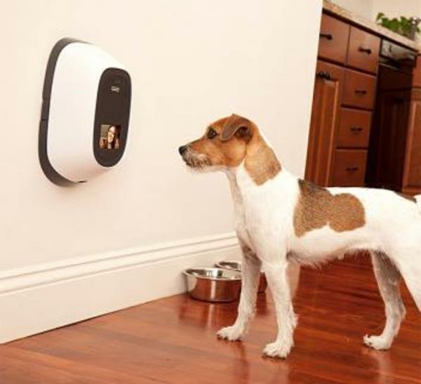 Κάμερα διαδικτύου PetChatz και αυτόματος τροφοδότης σκύλος ελέγχου gadgets κατοικίδιων ζώων