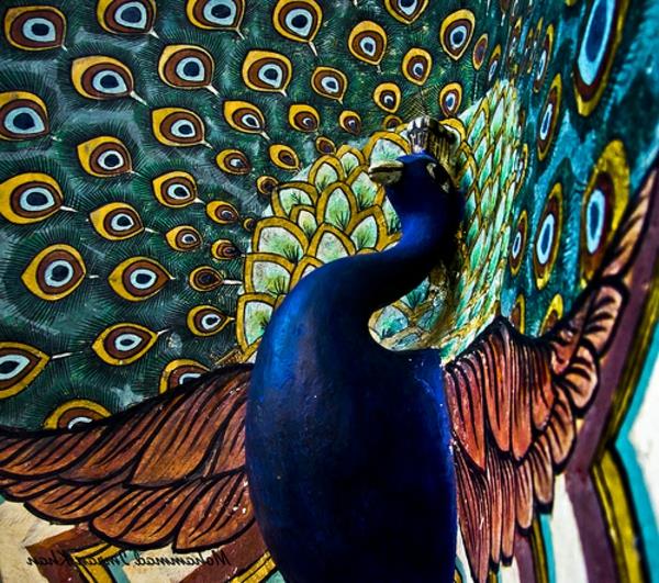 Διακόσμηση φτερών παγώνι στο σαλόνι κεραμικά φωτεινά χρώματα