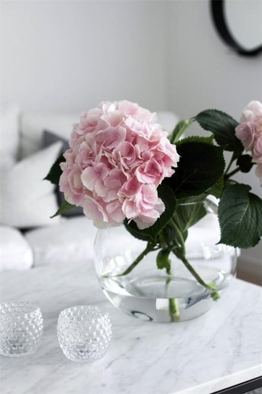 Peonies Feng Shui σύμβολο αγάπη γάμος λουλούδια έννοια