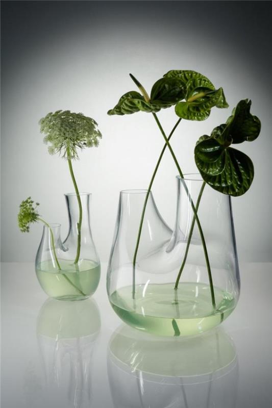 Φυτά terrarium ωραία ιδέα