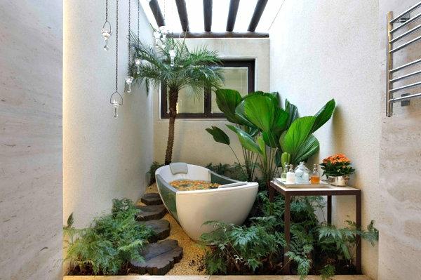 Τα φυτά στην μπανιέρα μπάνιου αφήνουν φεγγίτες