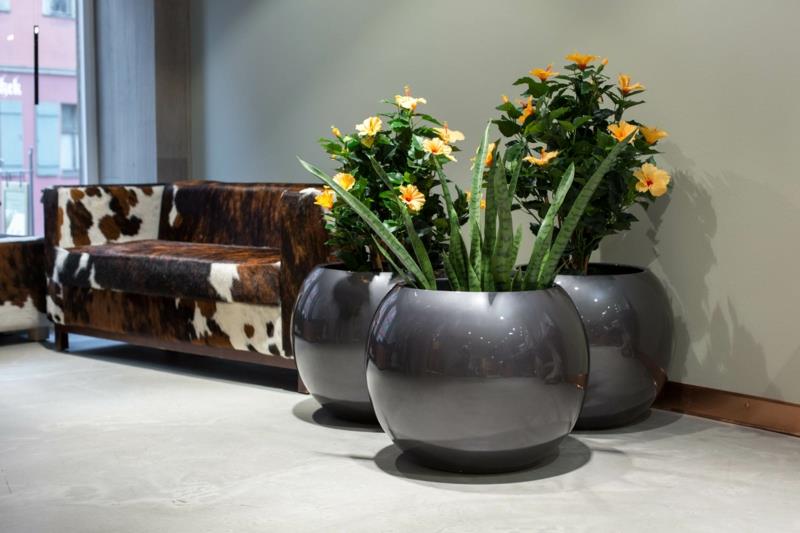 Planter fiberglass houseplants ιδέες διακόσμησης αίθουσα αναμονής