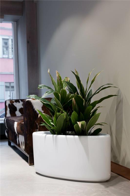 Planter fiberglass λευκά οβάλ εσωτερικά φυτά αίθουσας αναμονής