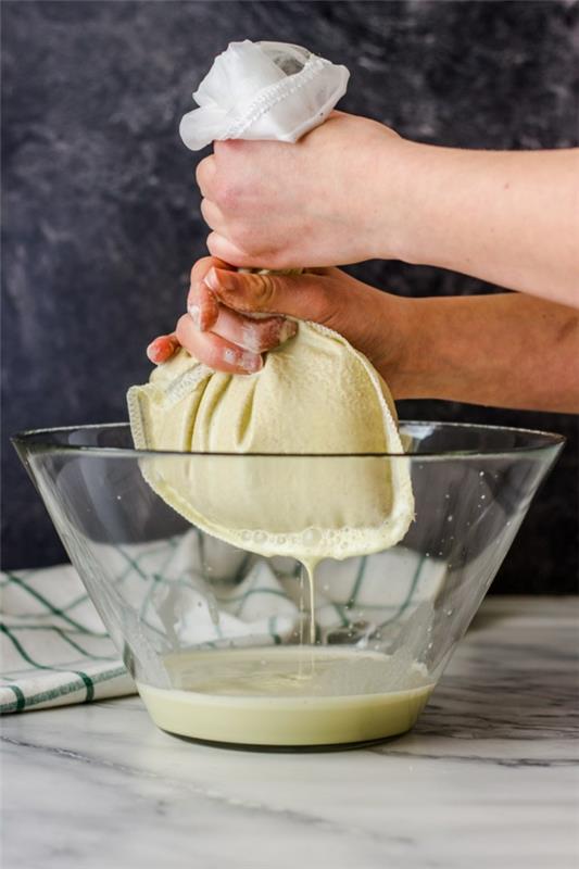 Φτιάξτε μόνοι σας γάλα φιστικιού συνταγή vegan γάλα καρύδι