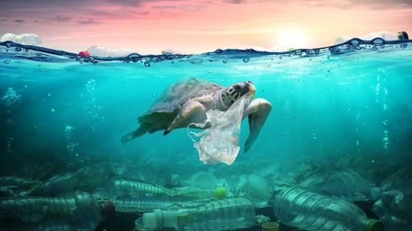 Πλαστικές δωρεάν αγορές επαναχρησιμοποιήσιμες σακούλες πλαστικών απορριμμάτων παγκόσμιος ωκεανός