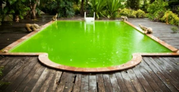 Ιδέες καθαριότητας χρώματος νερού πισίνας