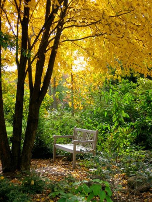 Υπέροχο σχέδιο κήπου πάγκος γρασίδι κίτρινα φύλλα φθινόπωρο