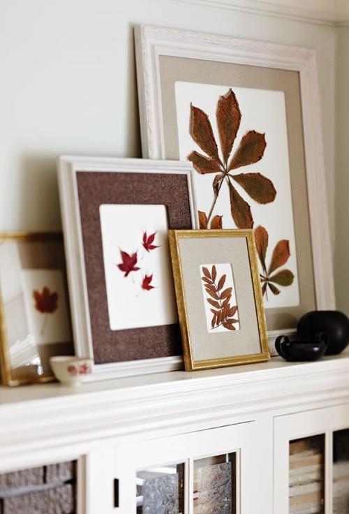 Ιδέες εσωτερικού σχεδιασμού πολύχρωμα φύλλα φθινοπώρου σε πλαίσιο σε λευκό φόντο Διακοσμητικά στοιχεία το φθινόπωρο