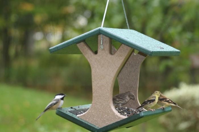 Ανακυκλώστε τροφοδότη πτηνών χύτευσης απορριμμάτων μείωσης πτηνών